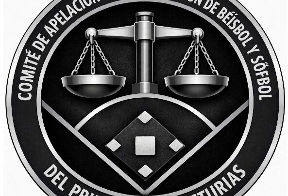 COMITÉ DE APELACIÓN