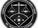 COMITÉ DE ALEGACIONES